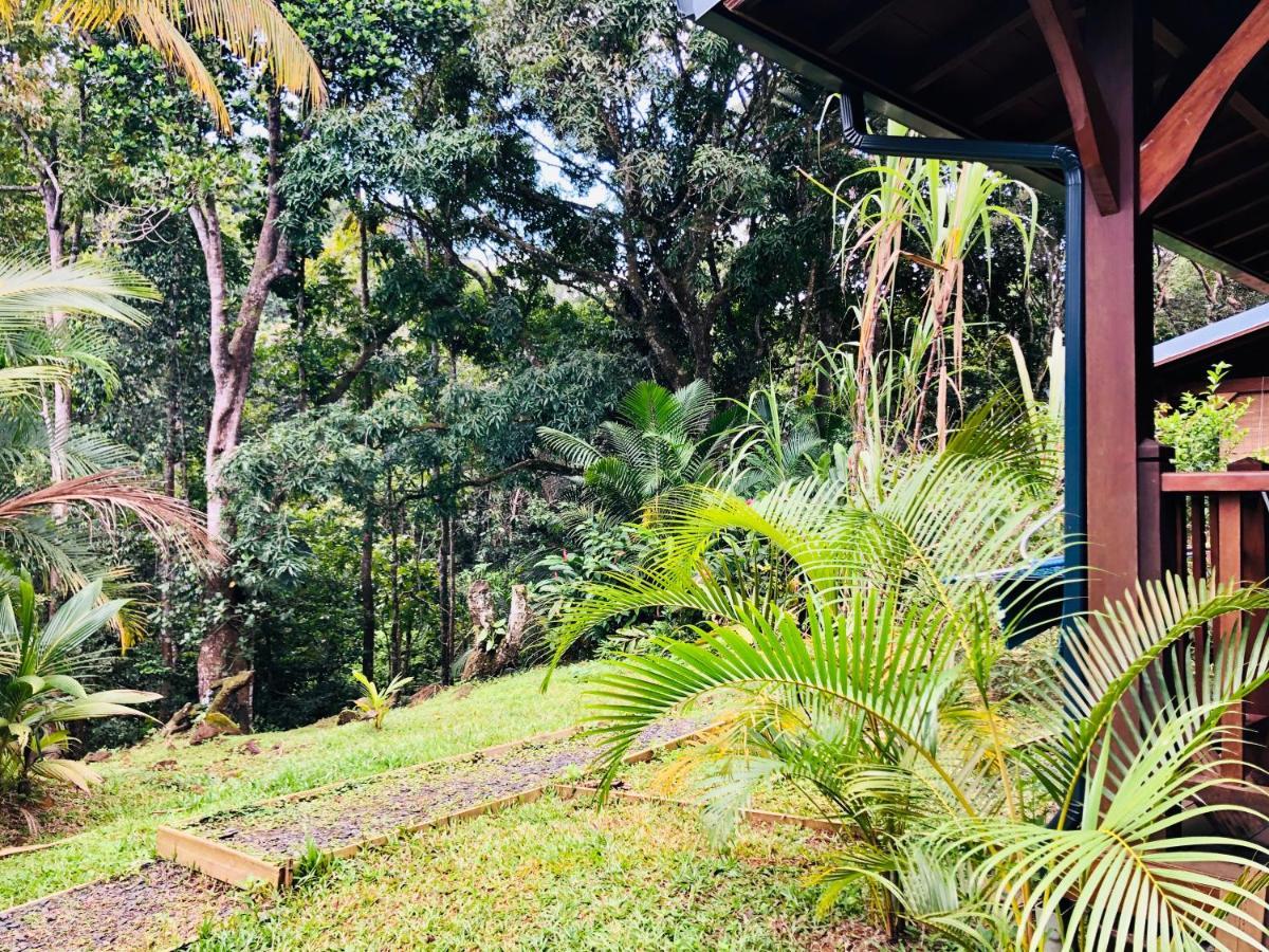 Gwada Natura Ecolodges & Spa Sainte-Rose Eksteriør bilde